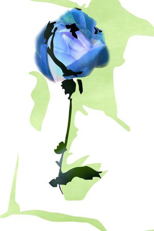 ♥红桃A〖花鸟天堂〗印花华亿平台图片