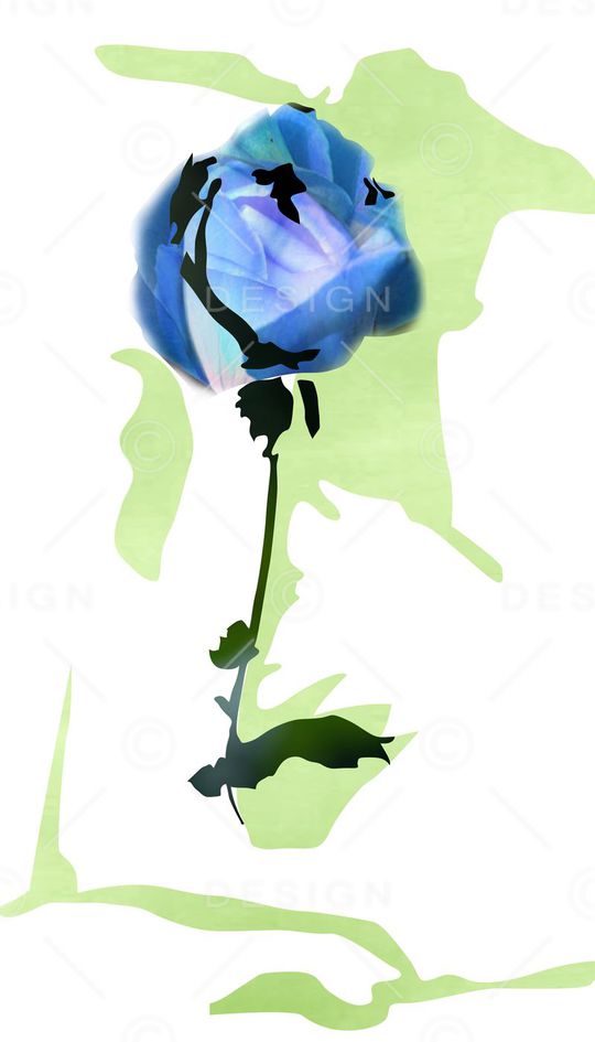 ♥红桃A〖花鸟天堂〗印花华亿平台图片