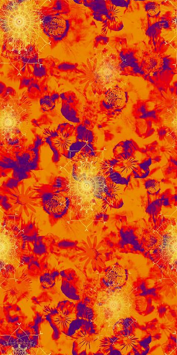 337651-花儿与蒲公英