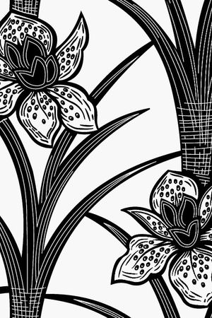 黑白华亿平台男装、睡衣印花华亿平台图片