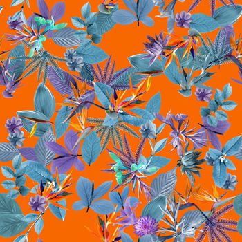 337769-植物花卉天堂鸟树叶深色底秋冬华亿平台