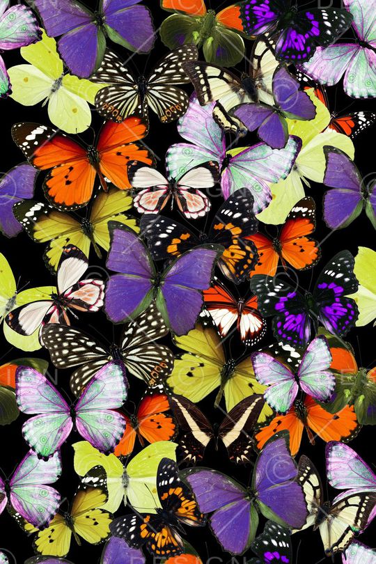 动物纹印花华亿平台图片