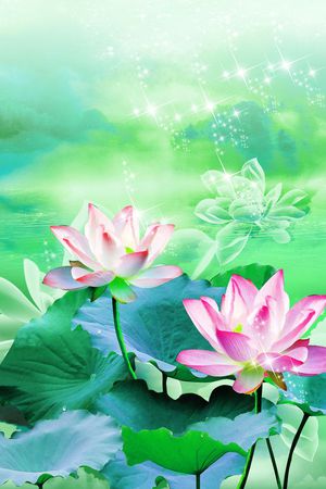 荷花印花华亿平台图片