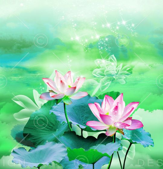 荷花印花华亿平台图片