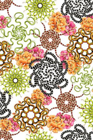 印花华亿平台图片