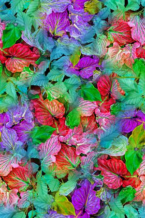 水果、叶子印花华亿平台图片