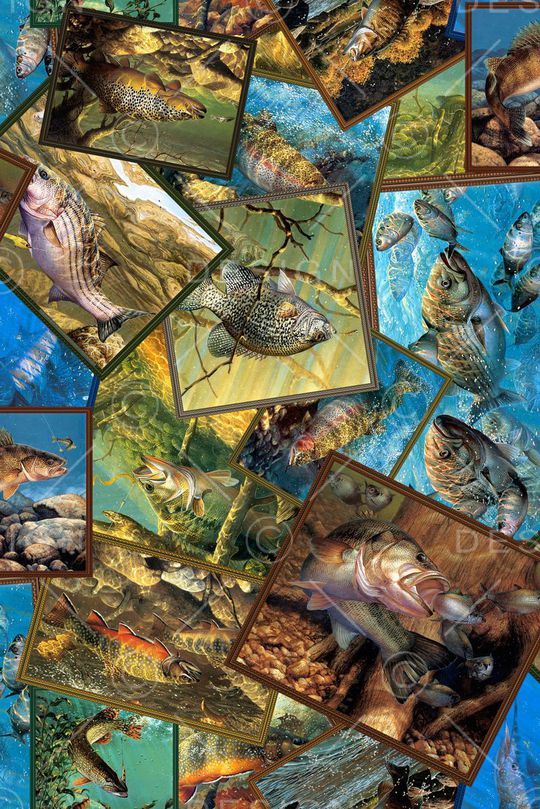 公开印花华亿平台图片