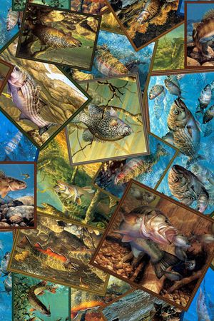 公开印花华亿平台图片