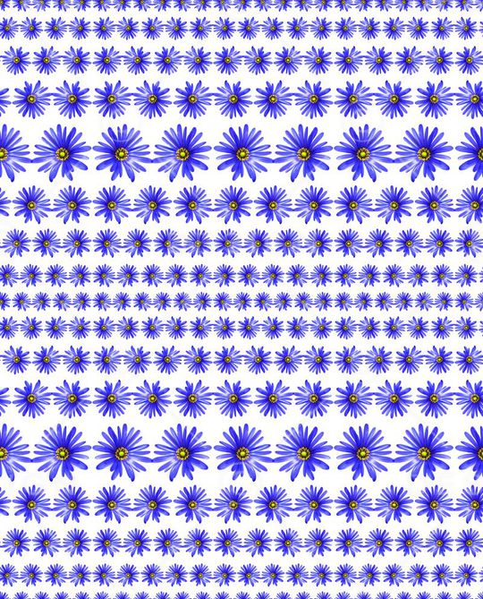 ♥红桃A〖花鸟天堂〗印花华亿平台图片