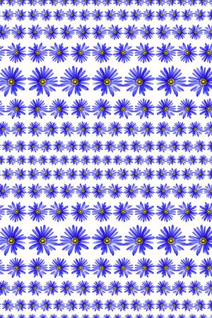 ♥红桃A〖花鸟天堂〗印花华亿平台图片