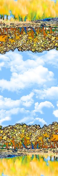 长巾方巾印花华亿平台图片