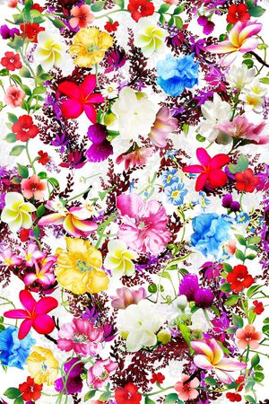 T-异域风情/Exotic印花华亿平台图片