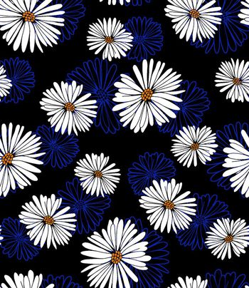 339714-小清新雏菊