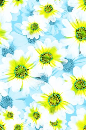 印花华亿平台图片