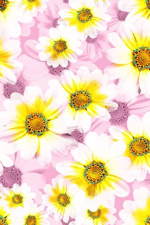 印花华亿平台图片