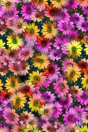 时尚印花华亿平台图片