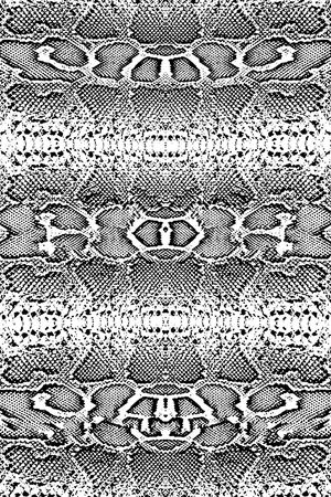 蛇纹印花华亿平台图片