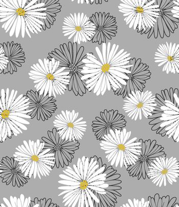 339995-小清新雏菊