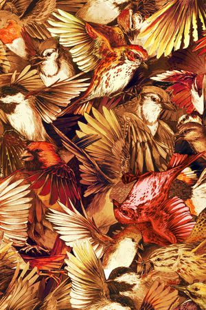 抽象简洁印花华亿平台图片