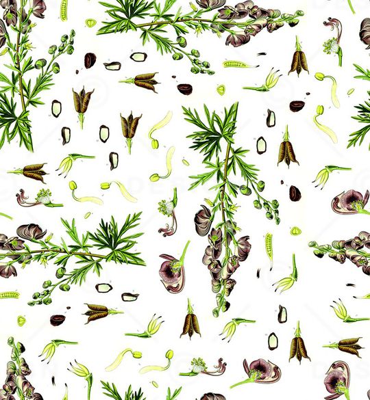 ♥红桃A〖花鸟天堂〗印花华亿平台图片