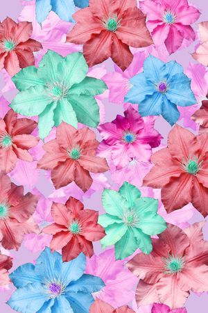 印花华亿平台图片