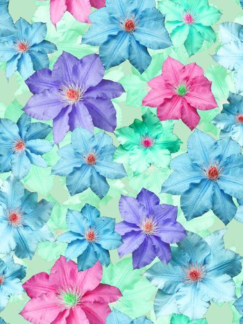 340227-多彩数码花卉