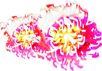 印花华亿平台图片