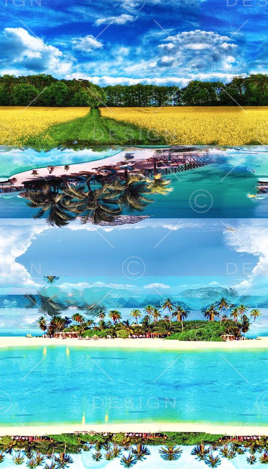 男女泳装印花华亿平台图片