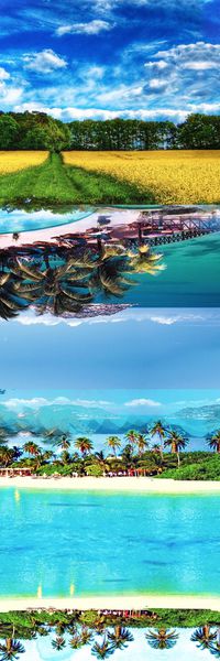 男女泳装印花华亿平台图片