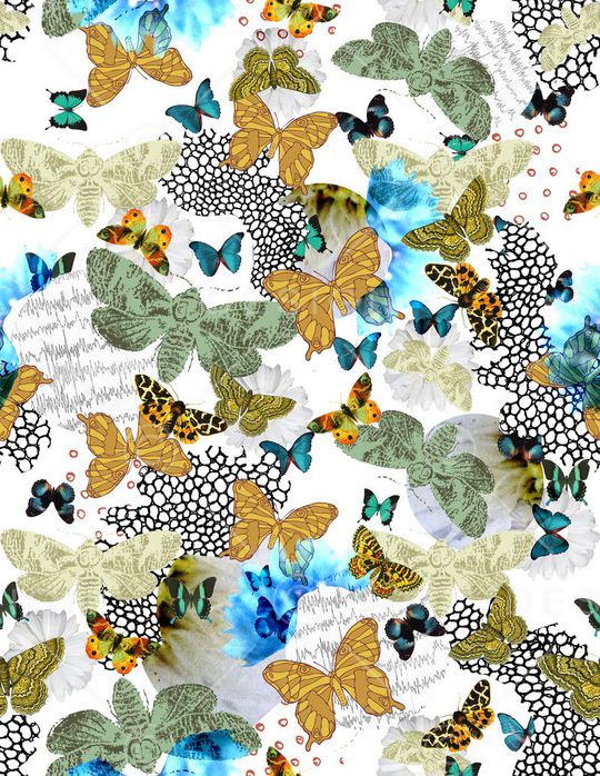 蝴蝶印花华亿平台图片