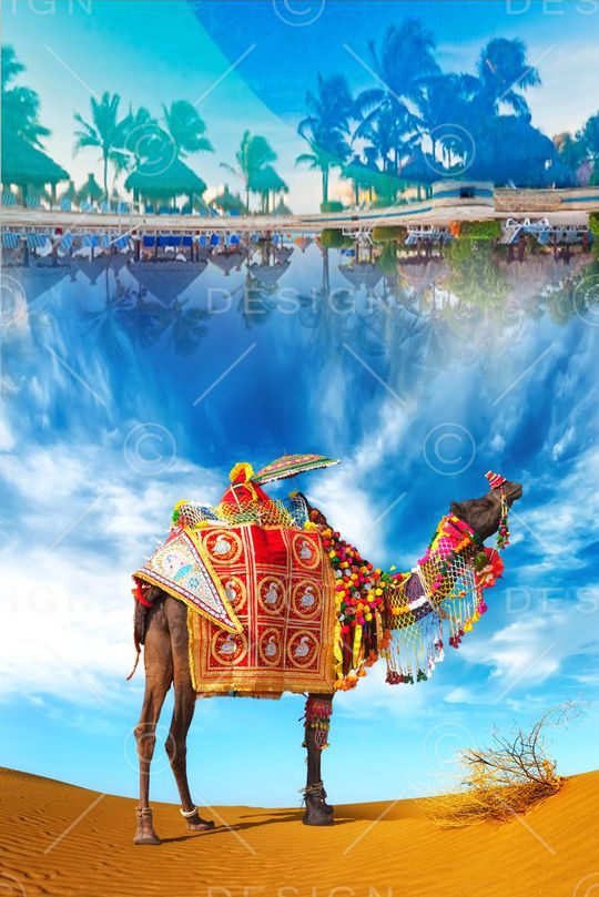 照片印花华亿平台图片