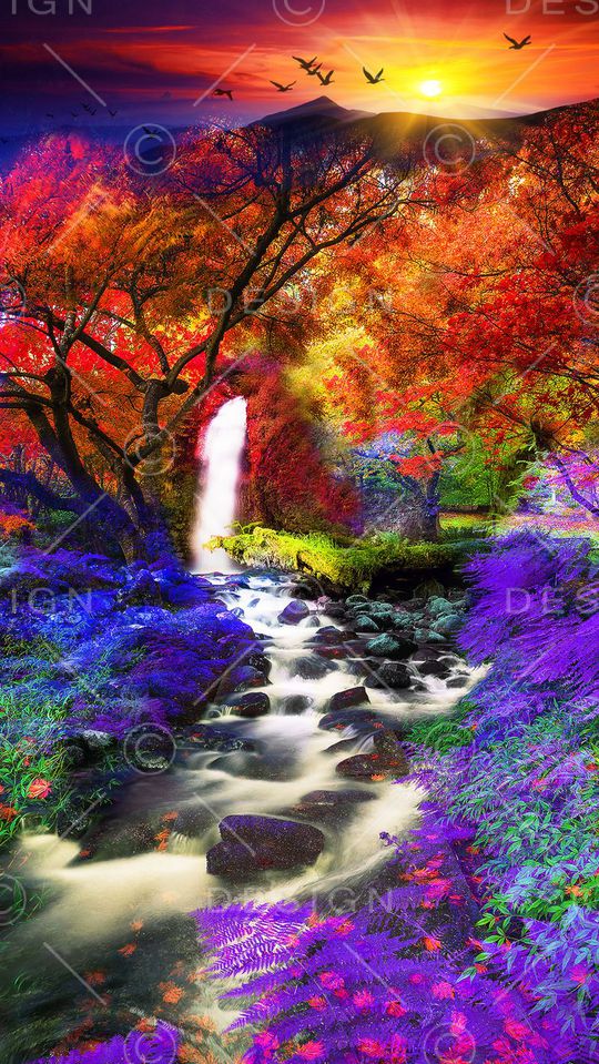 T-异域风情/Exotic印花华亿平台图片