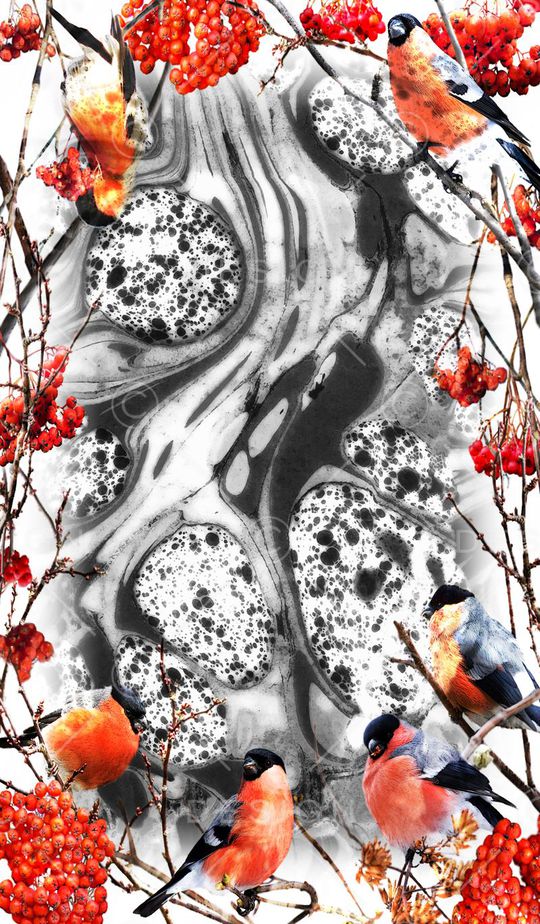 V-中国风/Chinese印花华亿平台图片