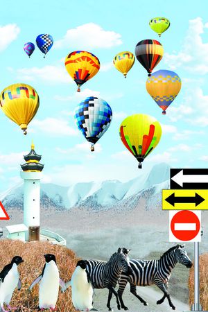 动物印花华亿平台图片