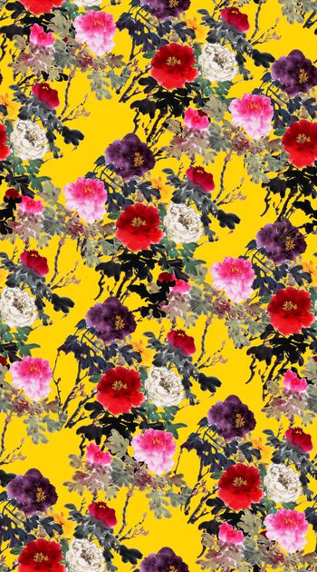 340936-中国风华贵水墨牡丹花