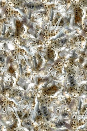 ♥红桃A〖潮流男装〗印花华亿平台图片