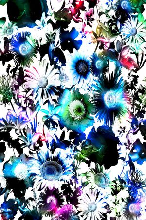 S-艺术花卉/Art印花华亿平台图片