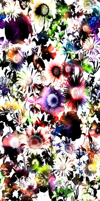 341175-英伦夜花园花卉抽象梦幻花卉1