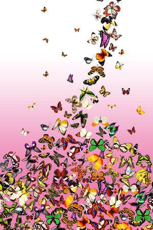 定位花印花华亿平台图片