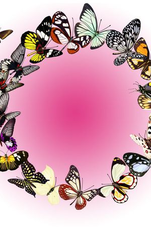 T恤胸花印花华亿平台图片