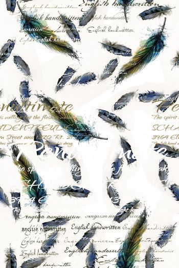 341360-英文羽毛1