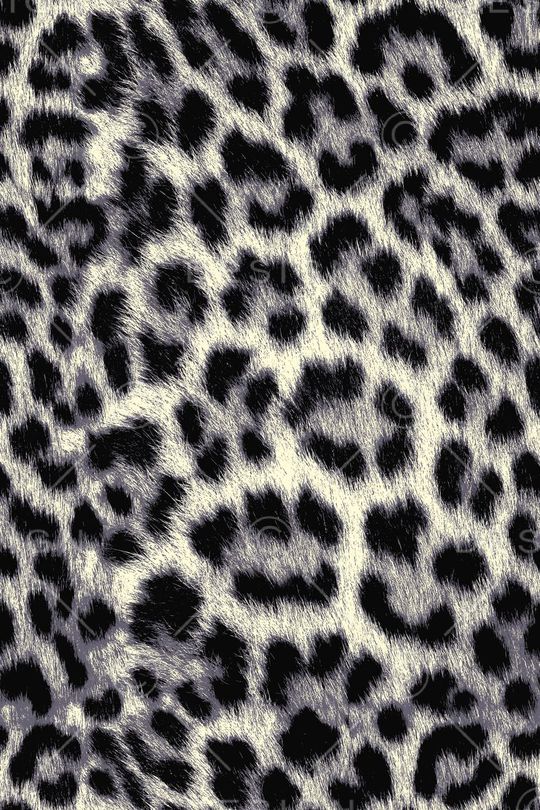 动物纹印花华亿平台图片