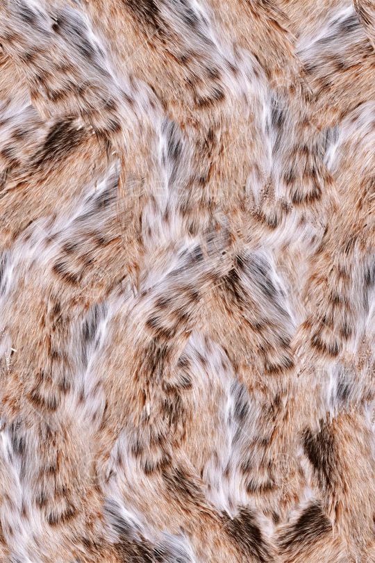 动物纹印花华亿平台图片