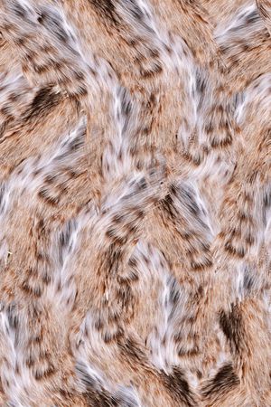 动物纹印花华亿平台图片