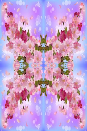 花鸟花卉印花华亿平台图片