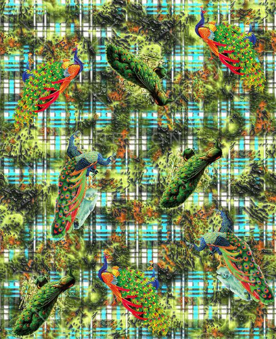 羽毛印花华亿平台图片