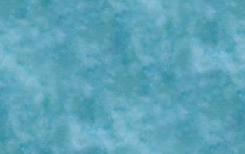 341904-抽象3D海豚数码印花后片