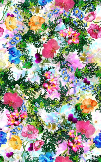 342427-韩风田园蝴蝶兰艺术花卉8-1