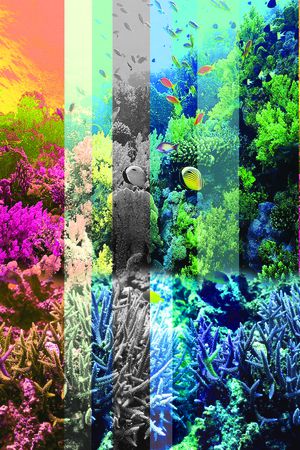 热带风情印花华亿平台图片