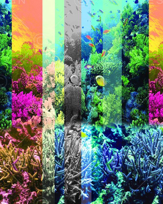 热带风情印花华亿平台图片